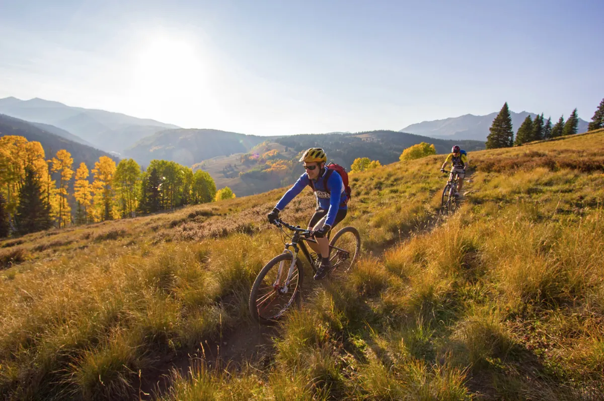 Mountain bikers traverse a scenic trail surrounded by vibrant fall foliage, with distant mountain peaks rising on the horizon. The scene is lively and colorful, reflecting summertime adventure and the area's natural splendor.
